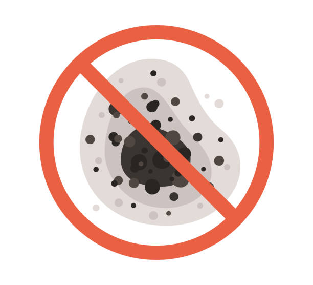 Best Mold Remediation for Healthcare Facilities  in Leon, IA