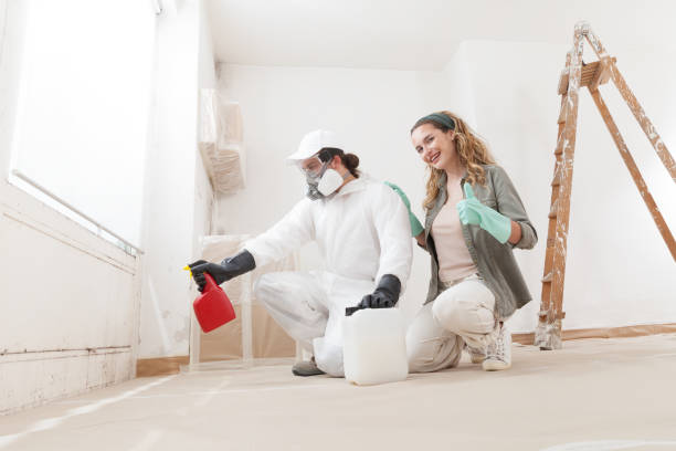 Best Post-Construction Mold Inspection  in Leon, IA